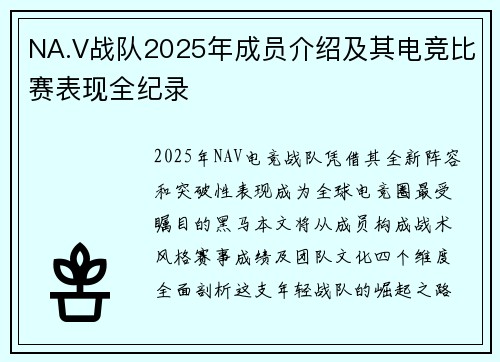 NA.V战队2025年成员介绍及其电竞比赛表现全纪录